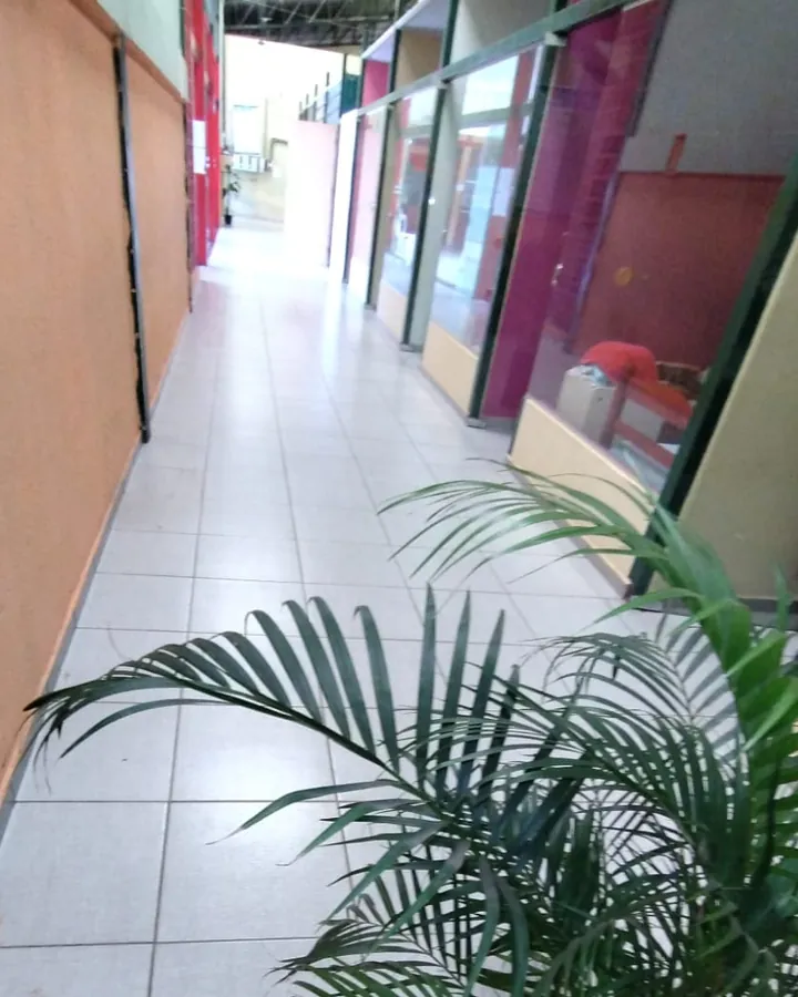 Corredor claro de piso cerâmico com vidraças à direita e uma palmeira em vaso em primeiro plano