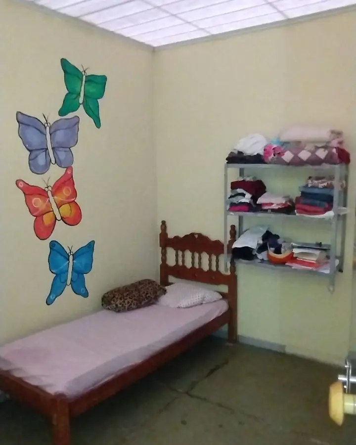 Quarto de solteiro com borboletas pintadas na parede e estante de roupas